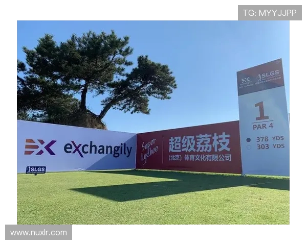 体育赛事冠名权价值评估方法论